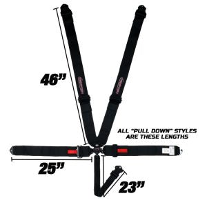 CAMLOCK, 2" WEBBING, PULL DOWN LAP