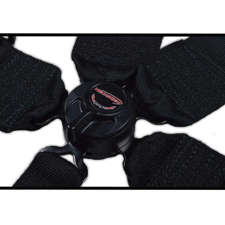 CAMLOCK, 2" WEBBING, PULL DOWN LAP