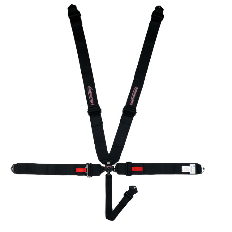 CAMLOCK, 2" WEBBING, PULL DOWN LAP