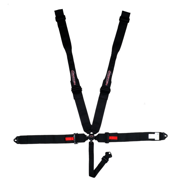 CAMLOCK, 2" WEBBING, PULL DOWN LAP