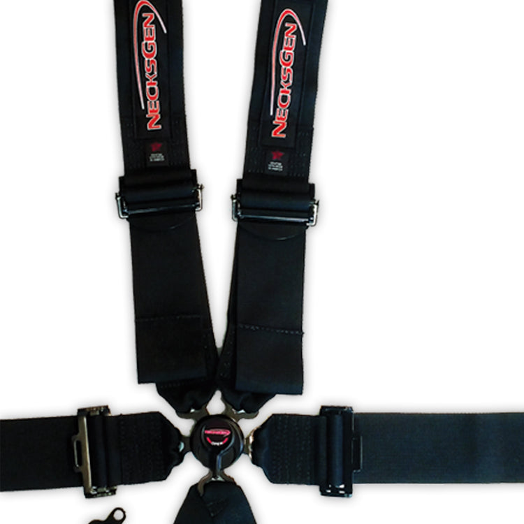 CAMLOCK, 2" WEBBING, PULL DOWN LAP