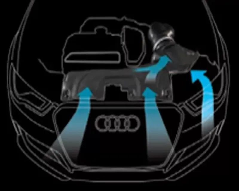 GruppeM Carbon Fiber Ram Air Intake System Audi RS3 8V 15-18